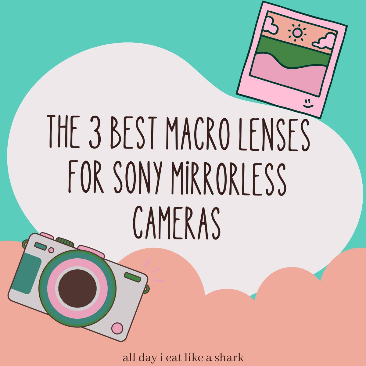 The Best Macro Lenses For Sony Mirrorless Cameras