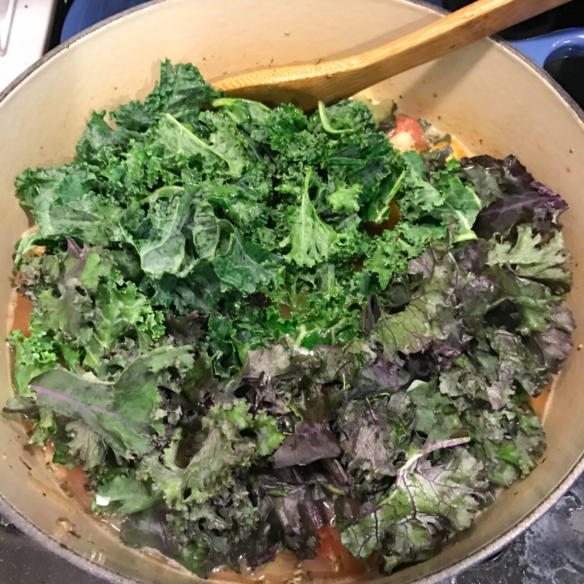 White Bean Soup with Turkey, Kale, and Herbes de Provence