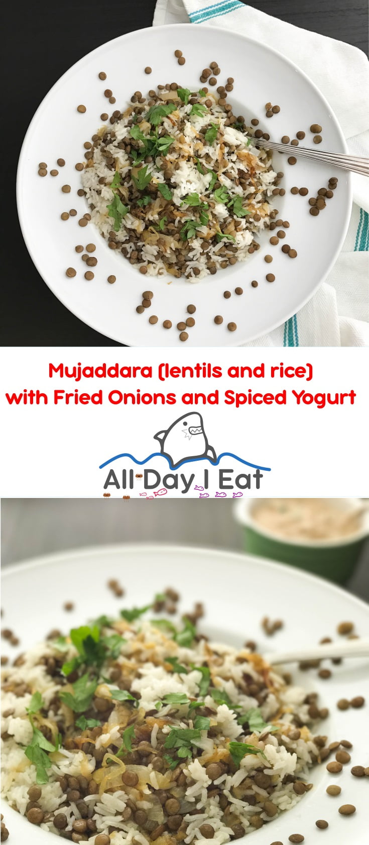 Mujaddara (lentils and rice) with Fried Onions and Spiced Yogurt | www.alldayieat.com