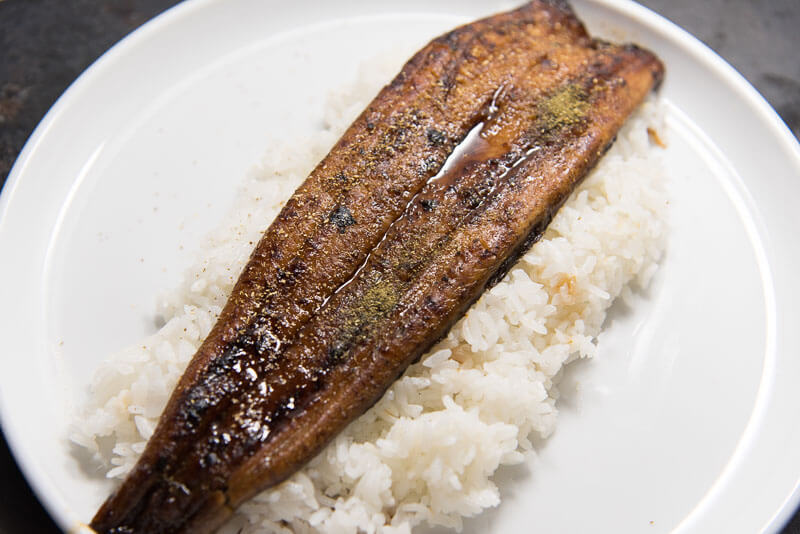 unagi on top of rice closeup