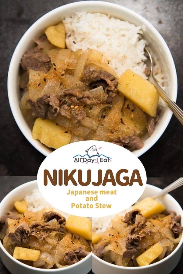 Nikujaga Japanese Meat & Potato Stew with rice top view and closeup