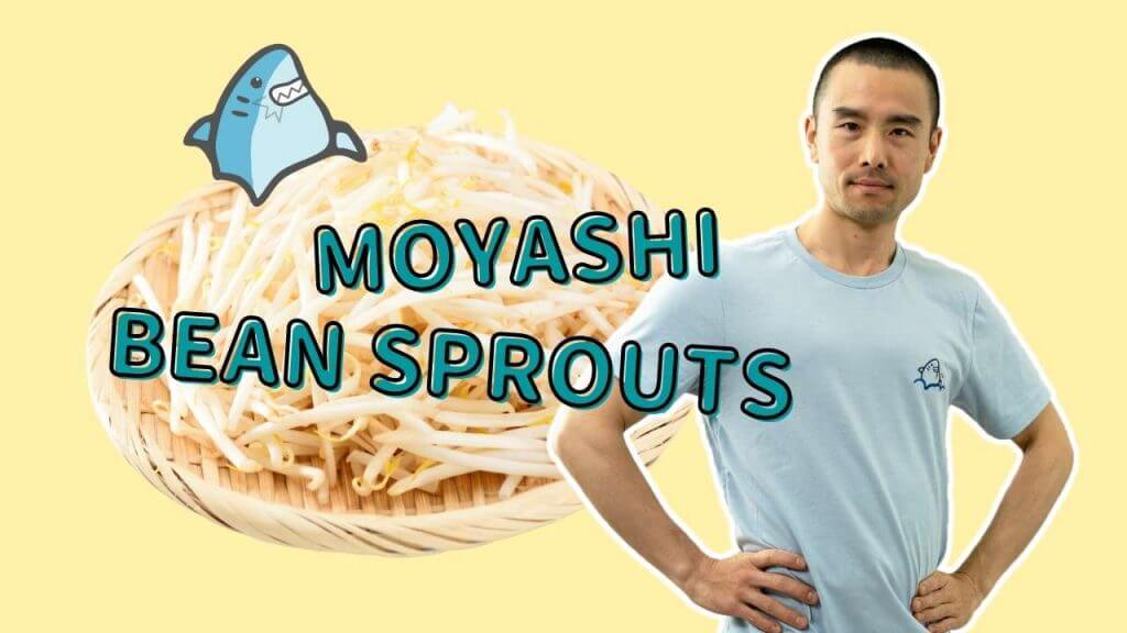 Moyashi bean sprout and pat