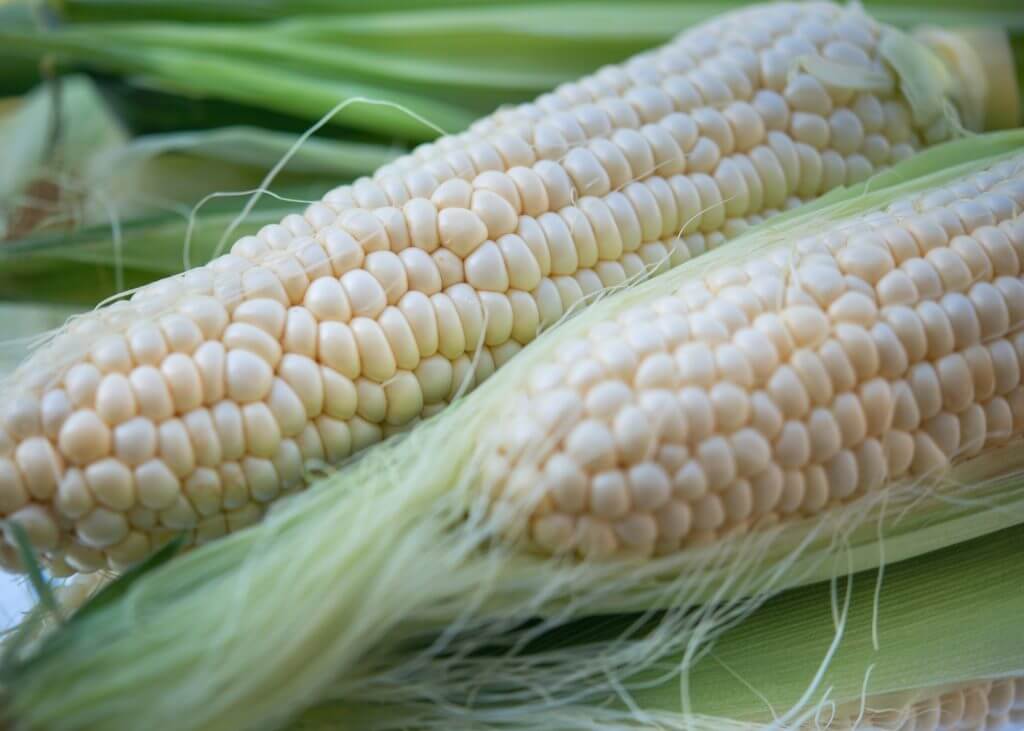 eat-sapporo-japan-summer-hokkaido-pure-white-corn