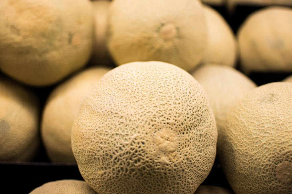 eat-sapporo-japan-summer-yubari-melon-cantaloupe-family