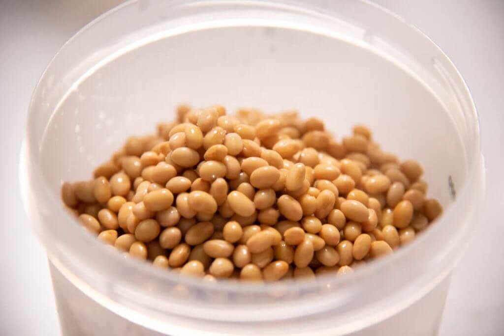 homemade natto in tanica container