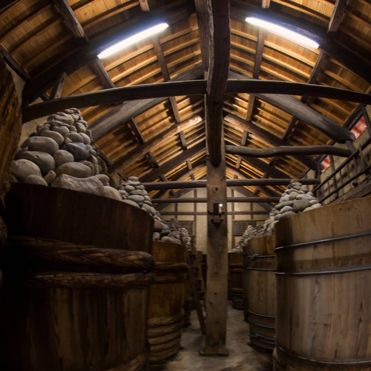 Fermentation of miso paste