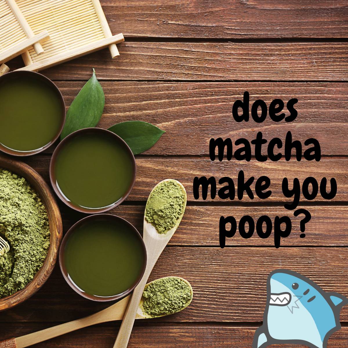 does-matcha-make-you-poop-all-day-i-eat-like-a-shark