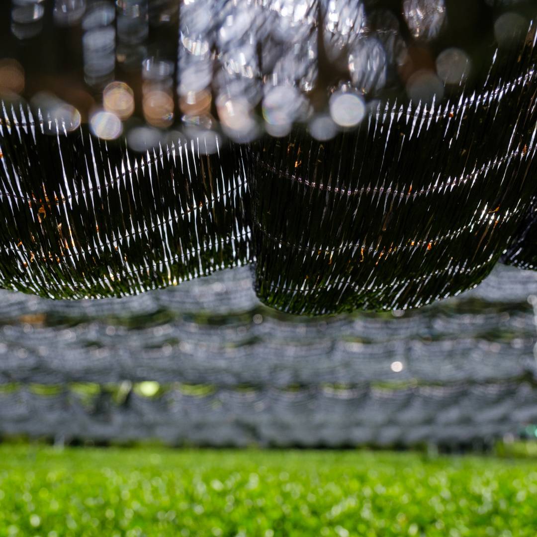 shading net for cultivation of gyokuro