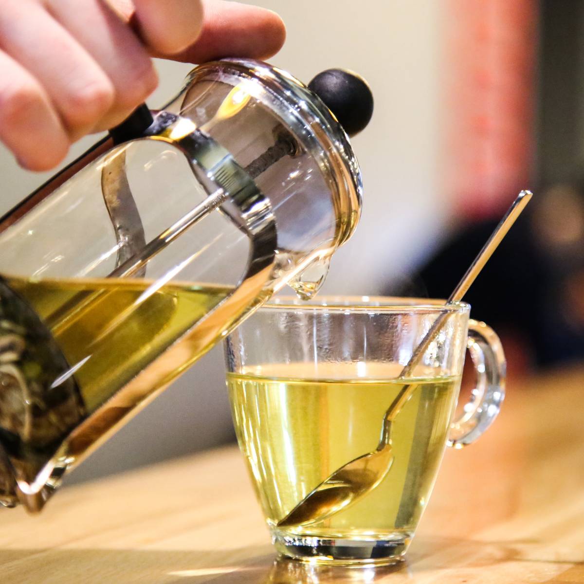 brewing sencha tea