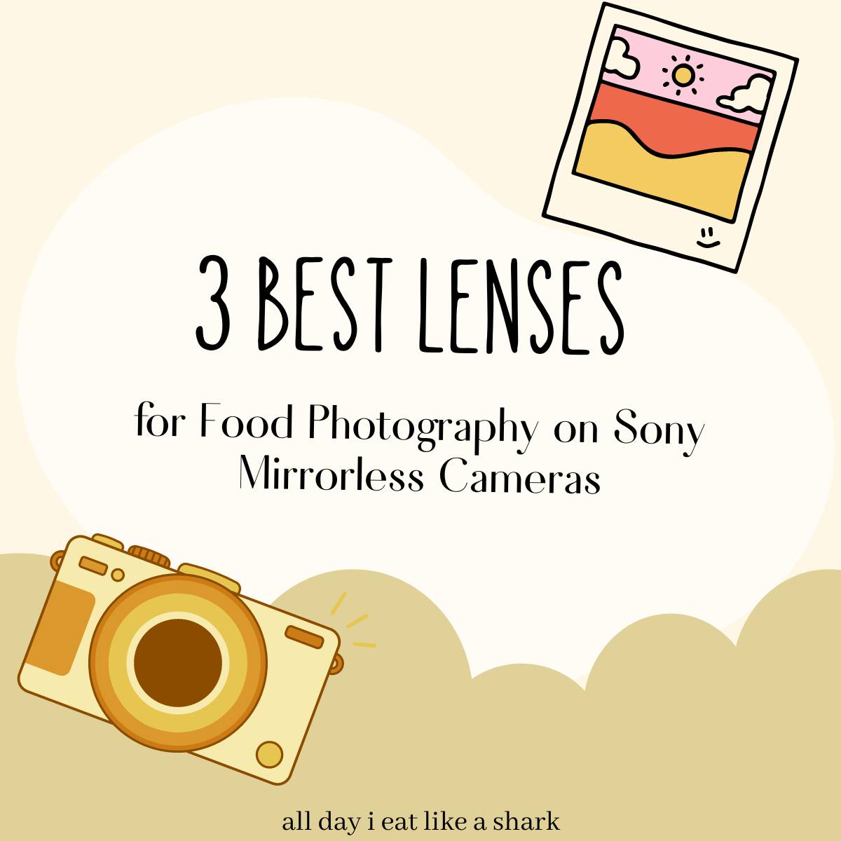 best point and shoot camera for food photography