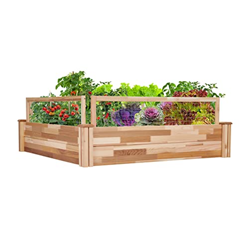 Jumbl Raised Canadian Cedar Garden Bed | Elevated Wood Planter for Growing Fresh Herbs, Vegetables, Flowers, Succulents & Other Plants at Home | Great for Outdoor