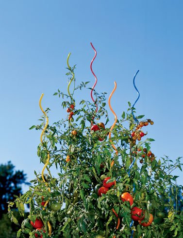 Gardeners Supply Company Rainbow Spiral Plant Support | Sturdy Outdoor Garden Spiral Stakes Rust Resistant Plants Supports for Tomatoes Beans, Flowering Vines & Other Climbing Plants