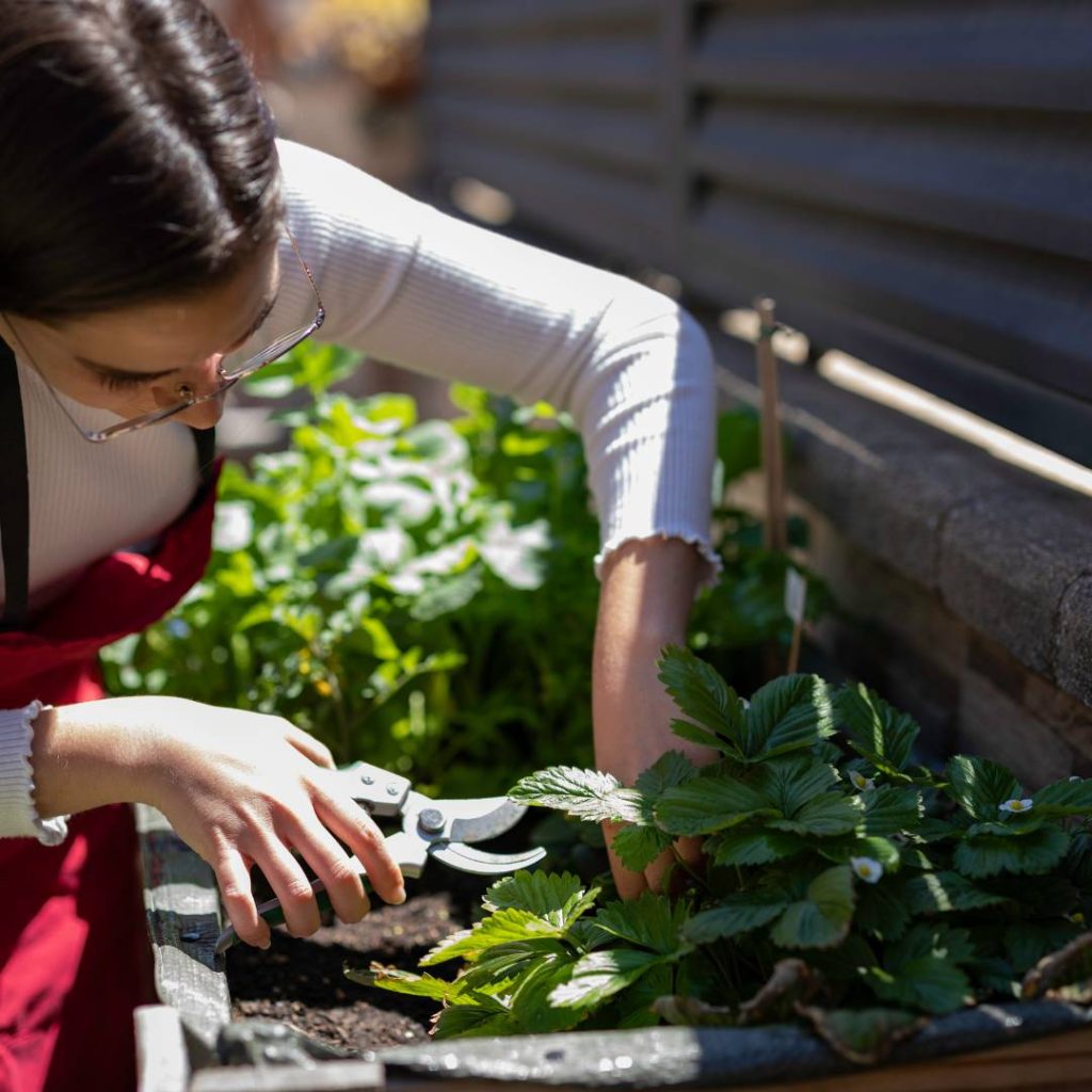 Beautiful woman taking care of urban vegetables garden