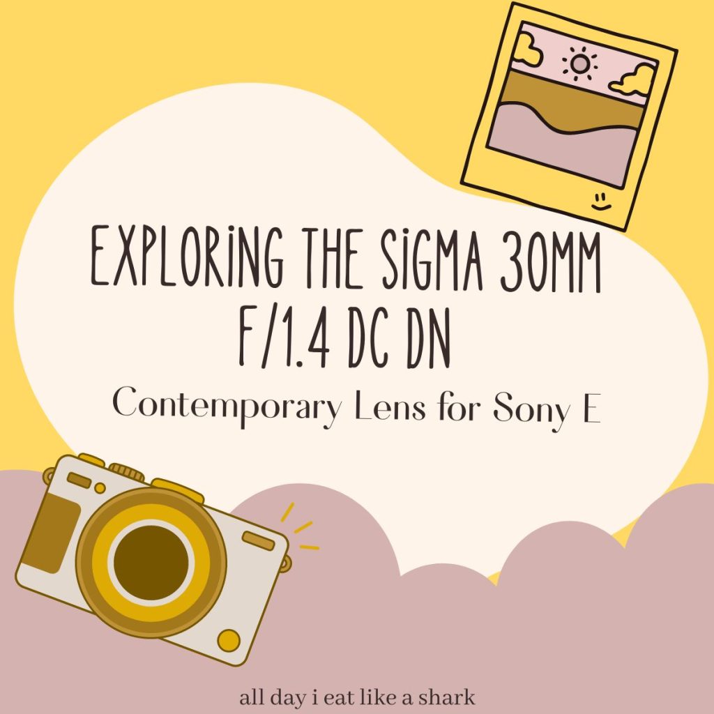 Exploring the Sigma 30mm f1.4 DC DN Contemporary Lens for Sony E