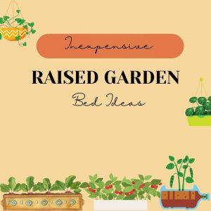 Inexpensive Raised Garden Bed Ideas