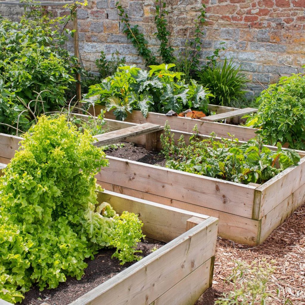 Jumbl Raised Canadian Cedar Garden Bed