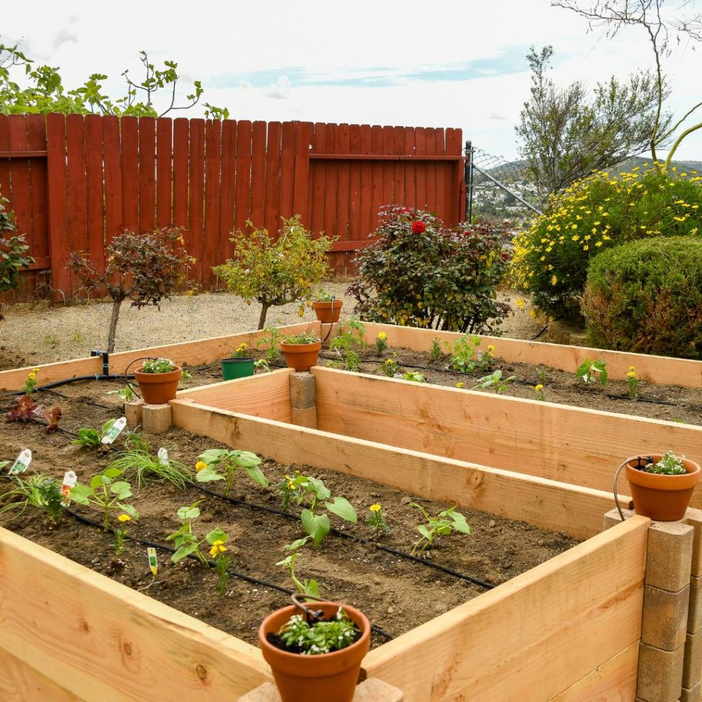 Raise garden bed