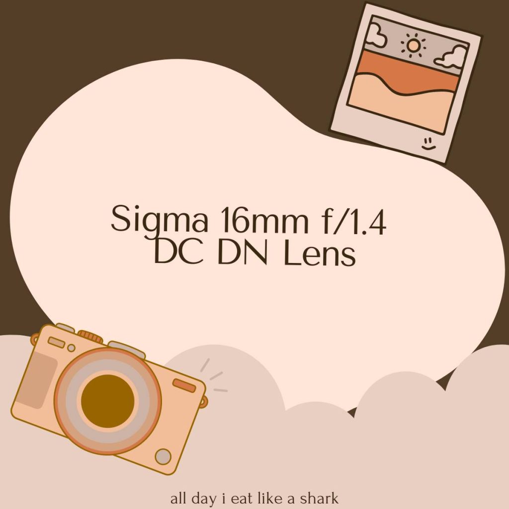 Sigma 16mm f1.4 DC DN Contemporary Lens Captivating Perspectives on Sony E