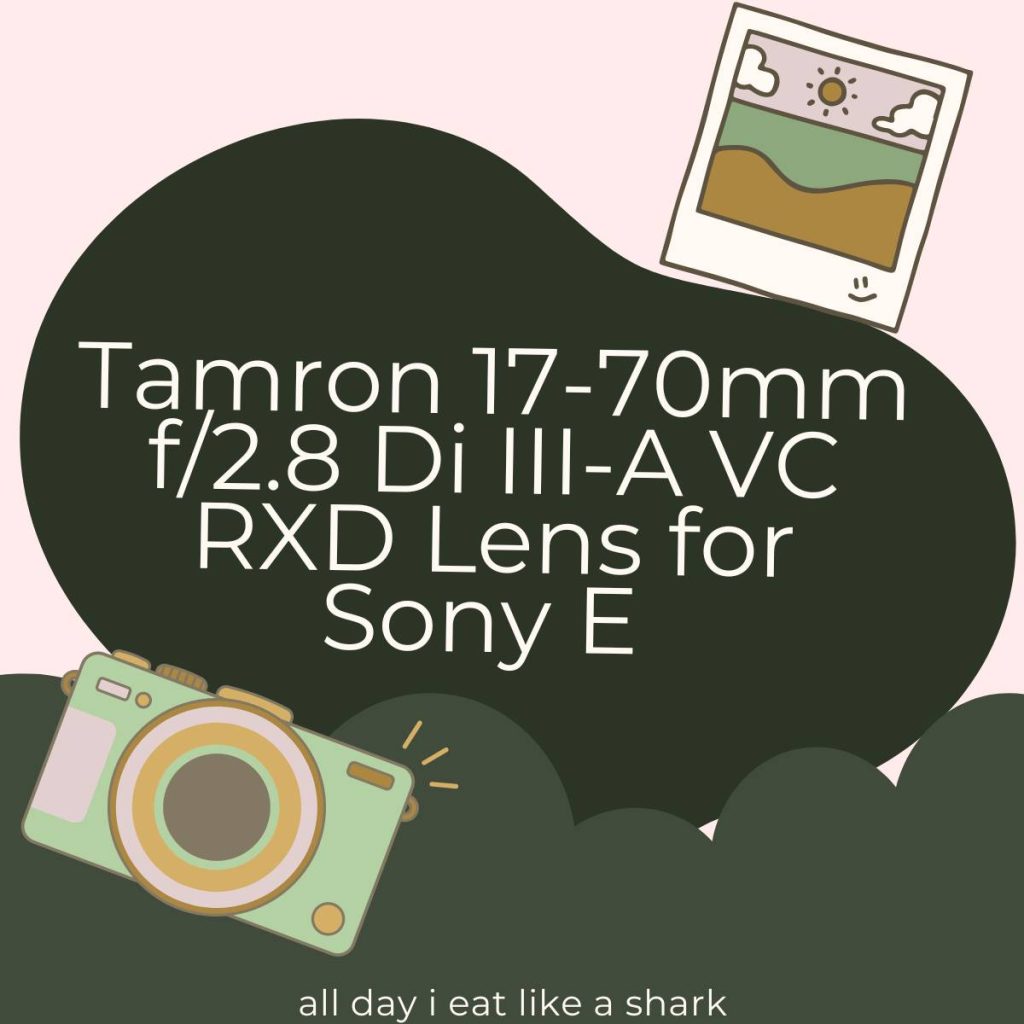 Tamron 17-70mm f2.8 Di III-A VC RXD Lens for Sony E