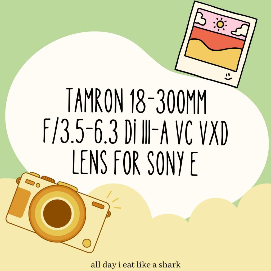 Tamron 18-300mm f3.5-6.3 Di III-A VC VXD Lens for Sony E