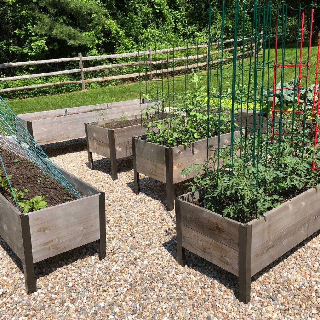 raised garden bed with vegetables