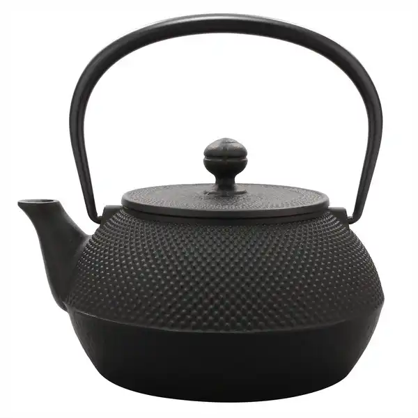 Cast Iron Japanese Tea Pot