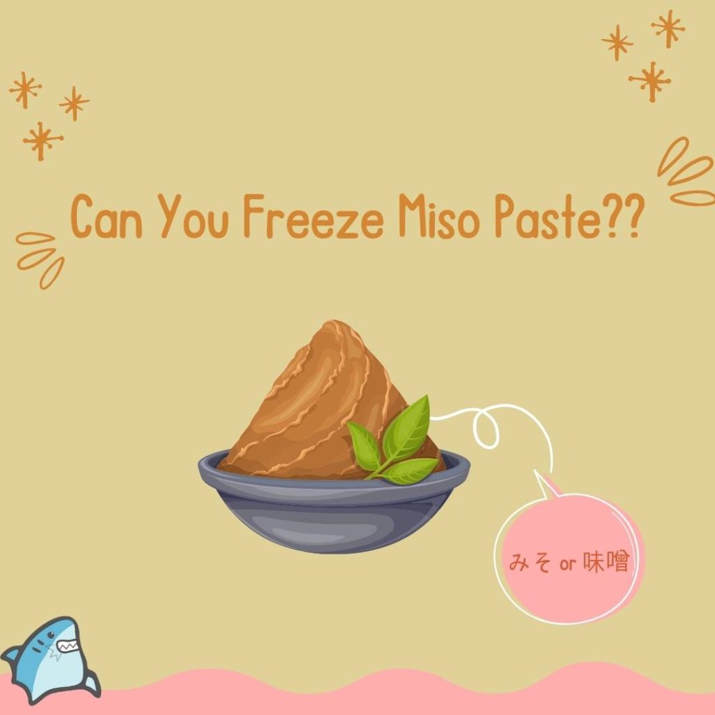 Can You Freeze Miso Paste?