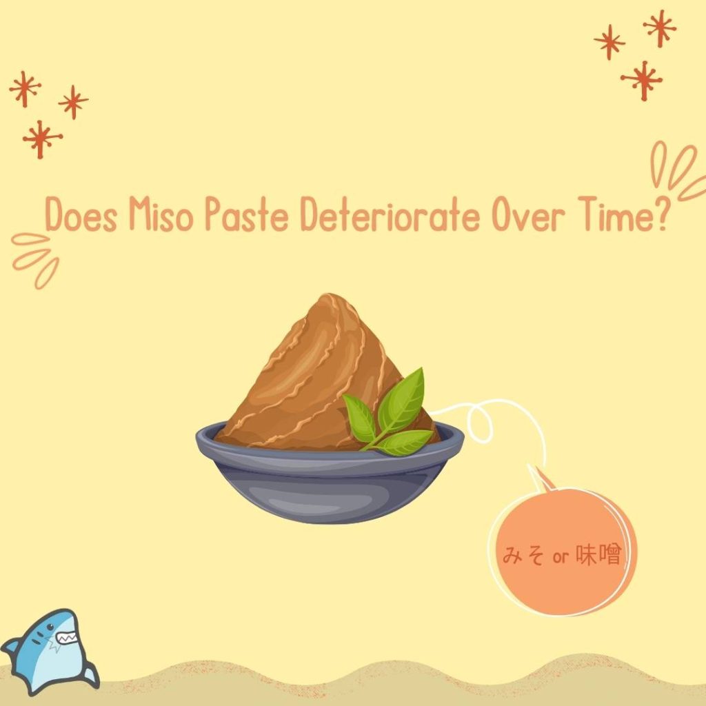 Does Miso Paste Go Bad?