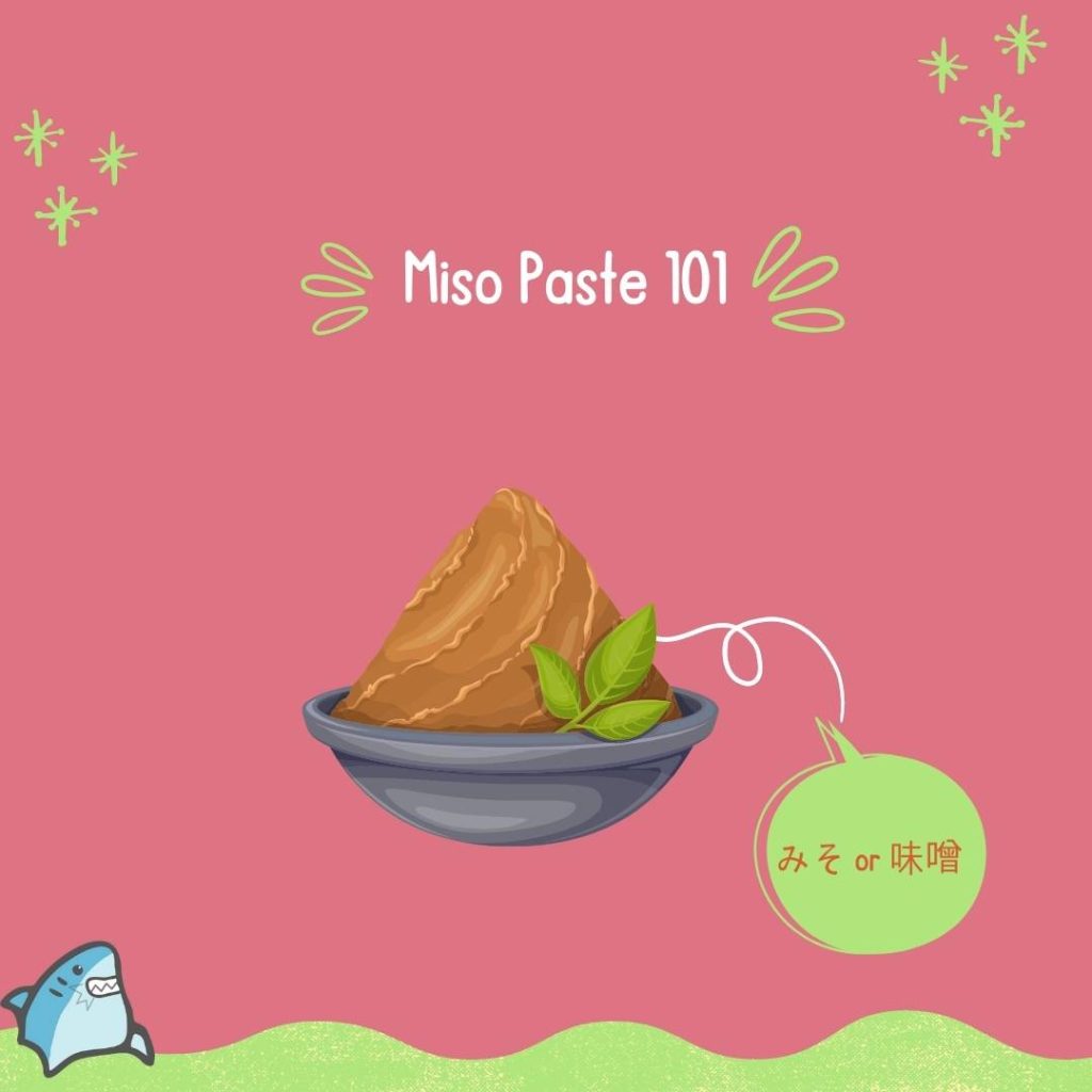 Miso Paste 101