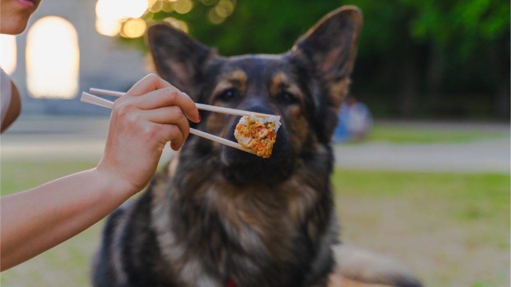 Can dogs have sushi