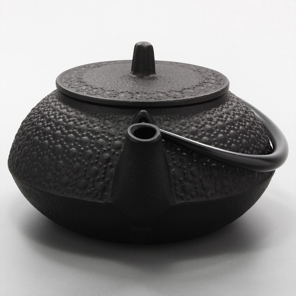 Nambu Tekki Japanese Tea Pot