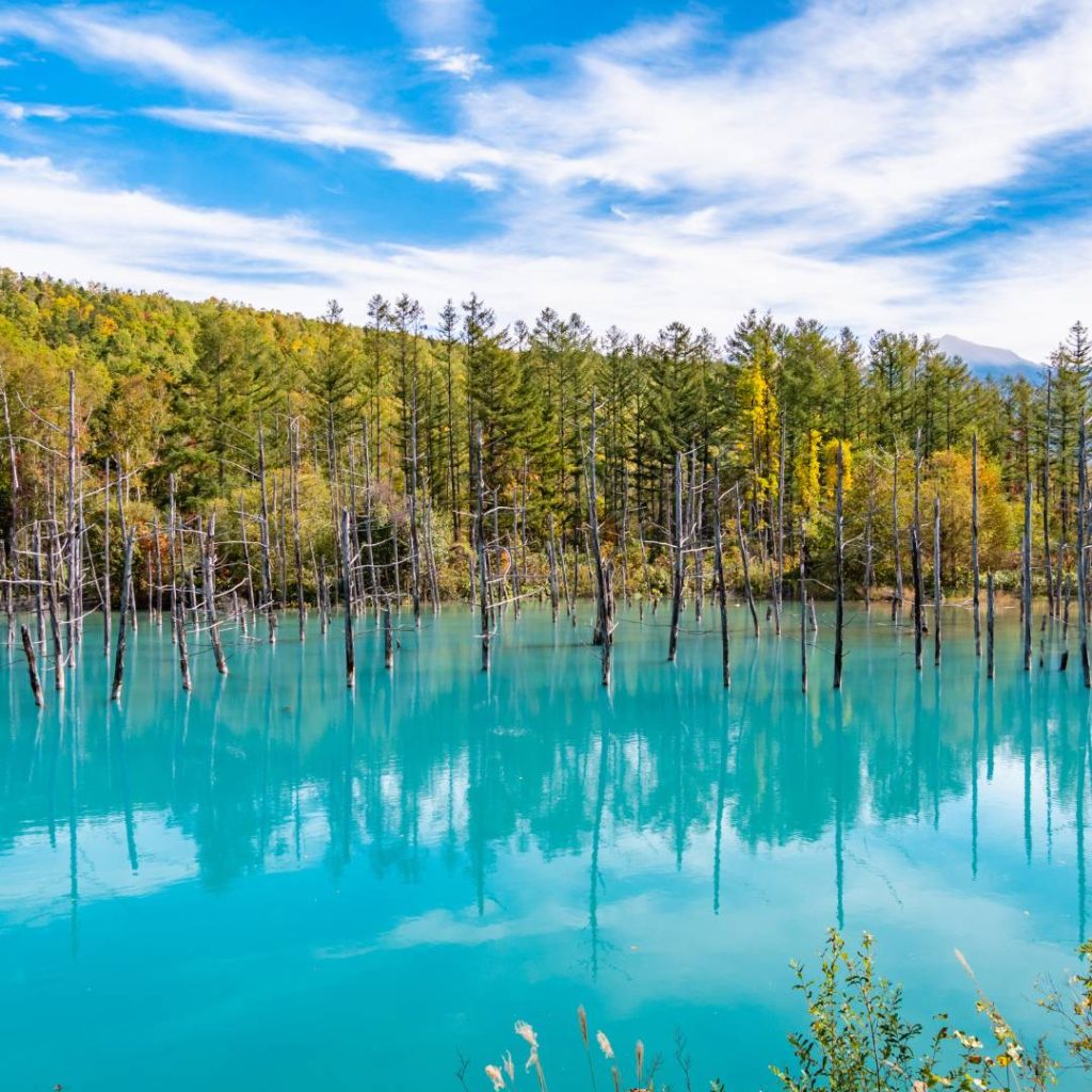 Shirogane Blue Pond in Biei