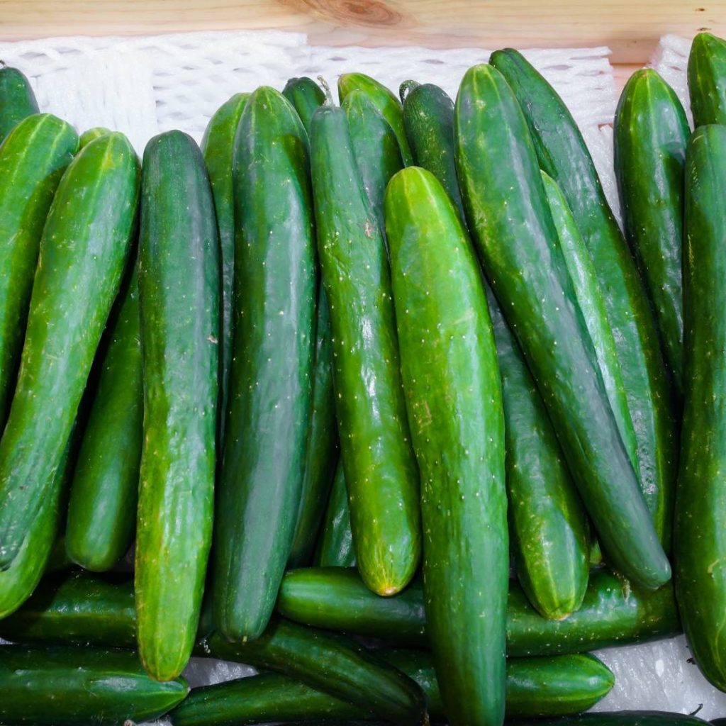 A bunch of green cucumbers, perfect for sushi, are sitting on a table.