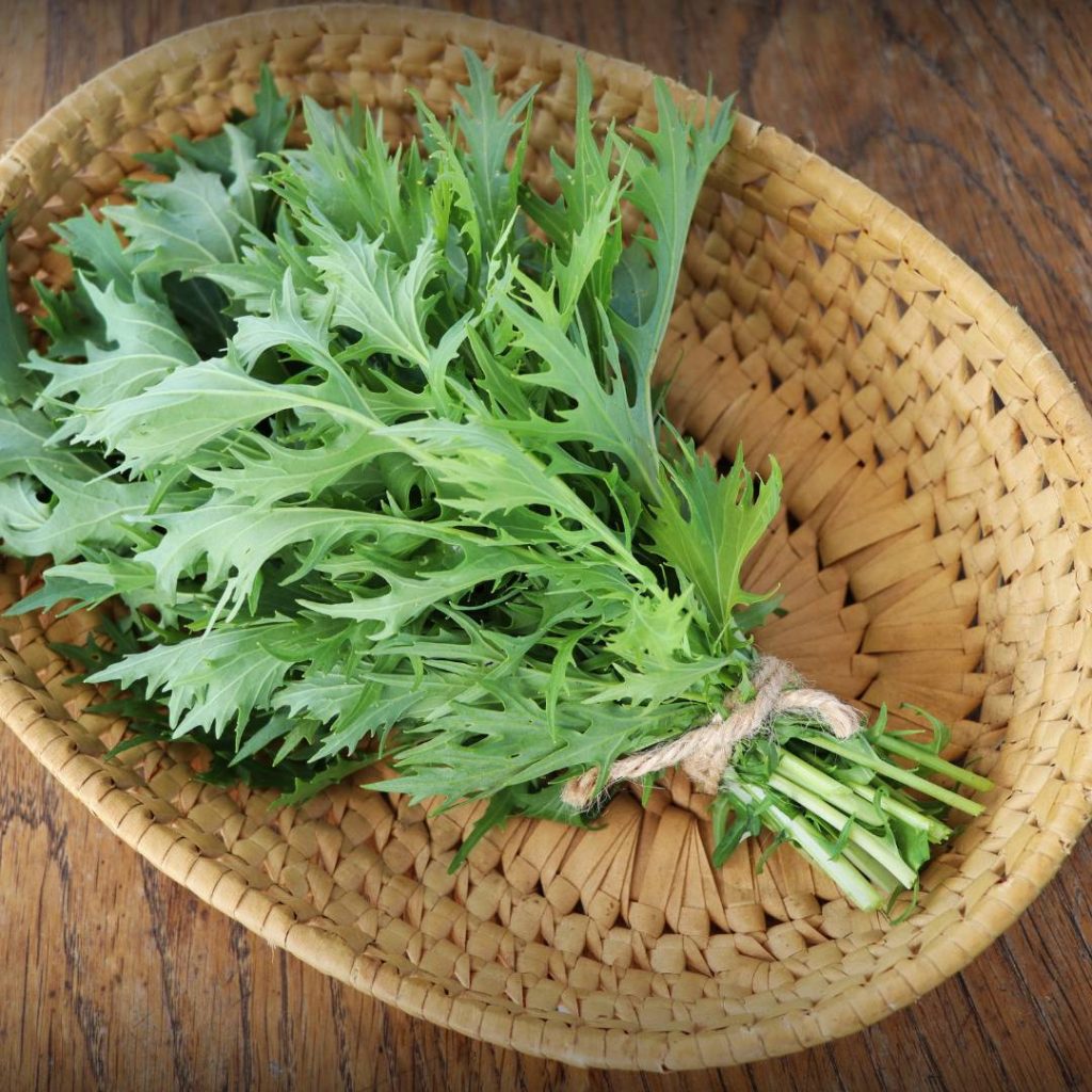 Fennel in a wicker basket on a Kyoto table.