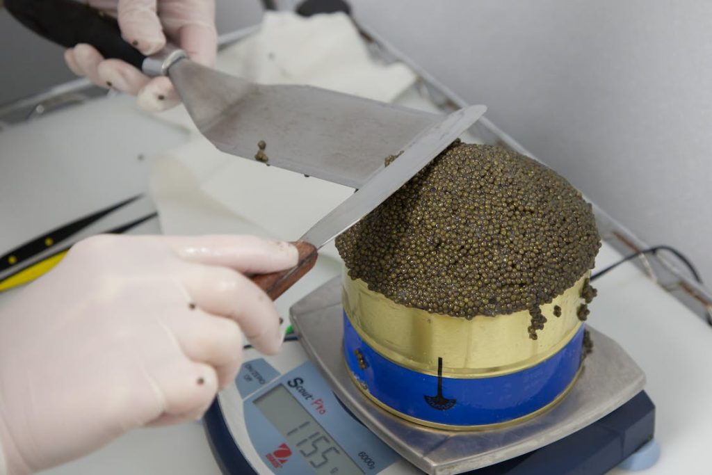 person weighing caviar