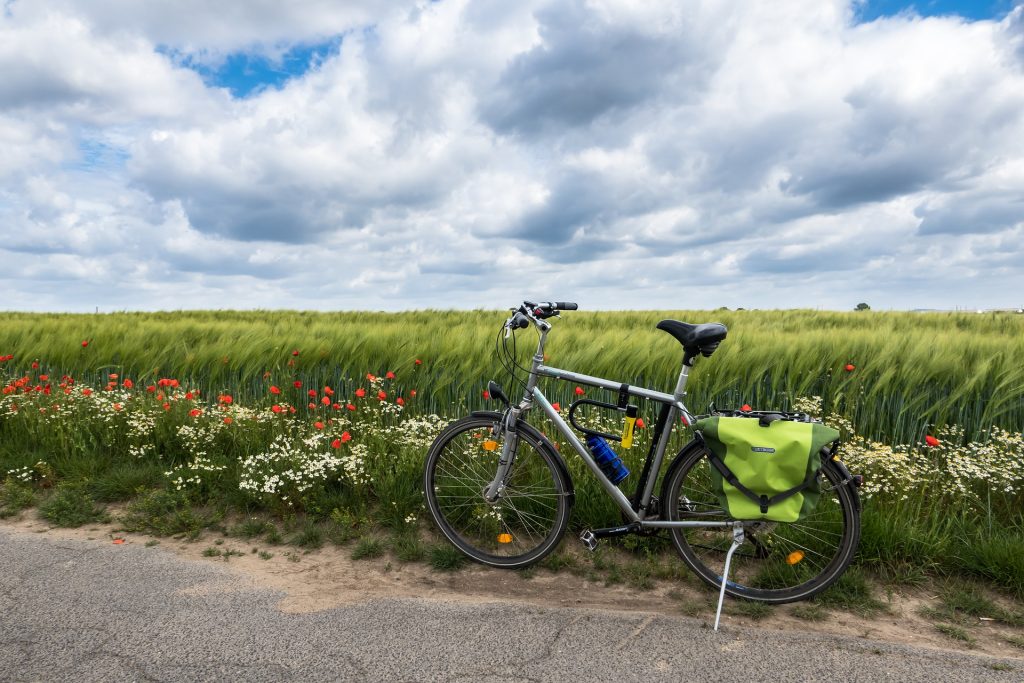 A Hokkaido bike parked in a field.