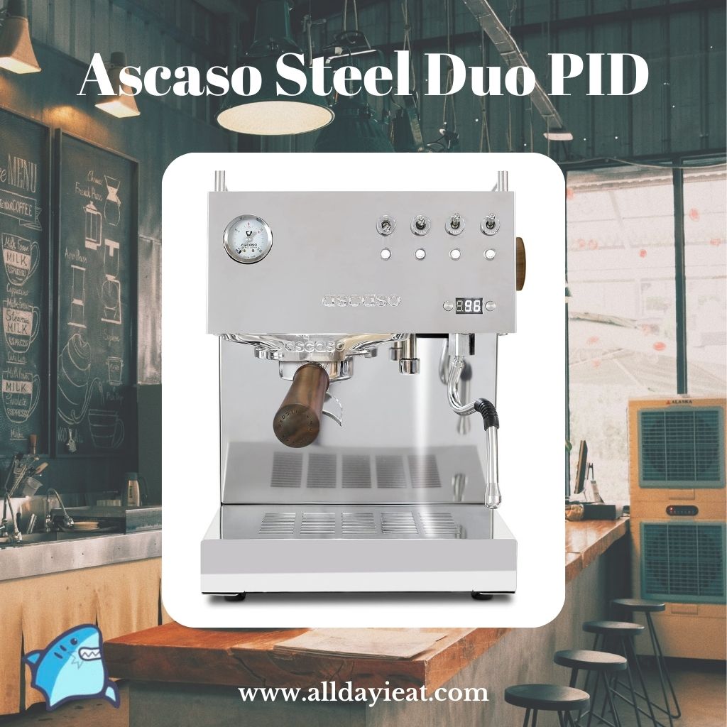 Ascaso Steel Duo PID Review