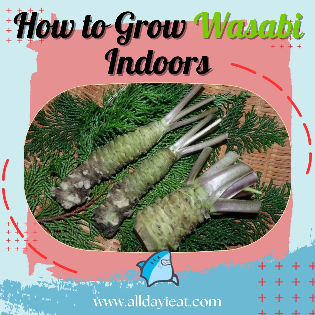 How to Grow Wasabi Indoors featured image