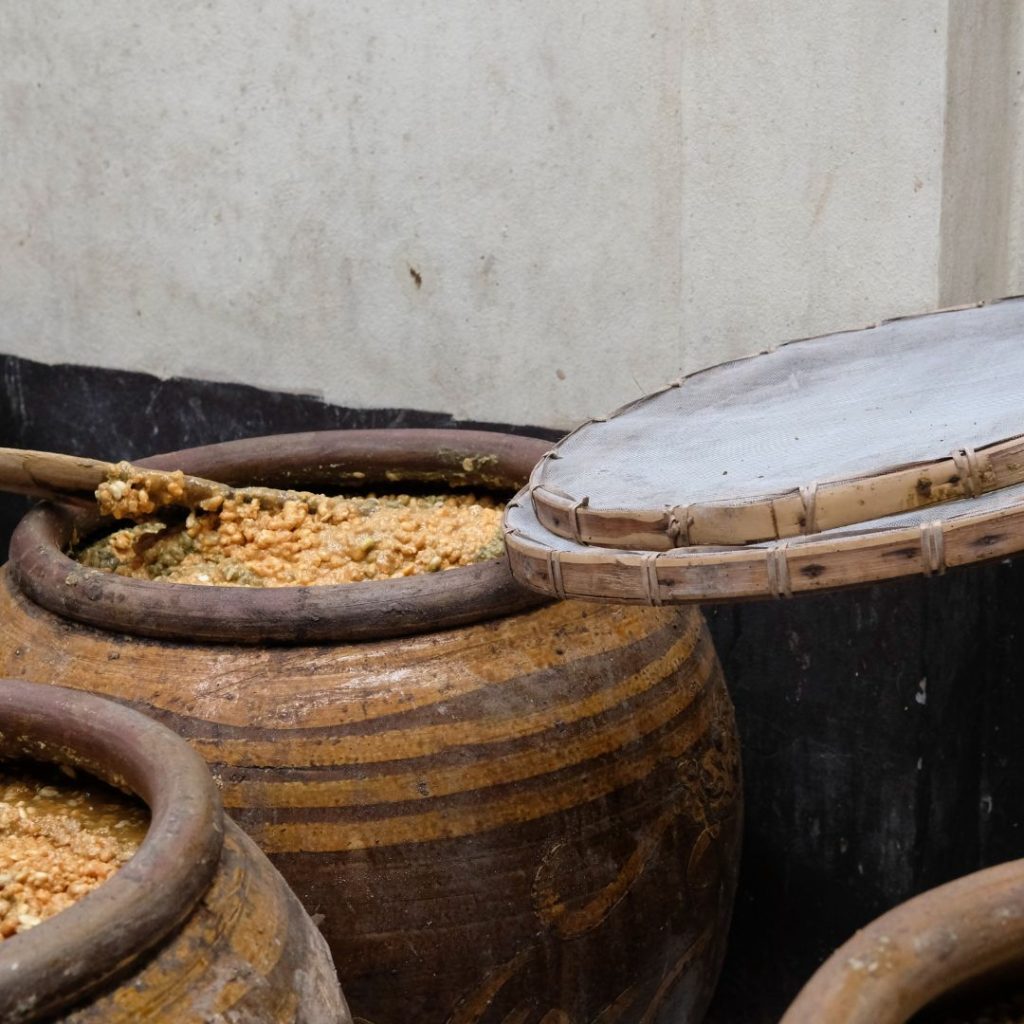 Fermentation of Miso Paste