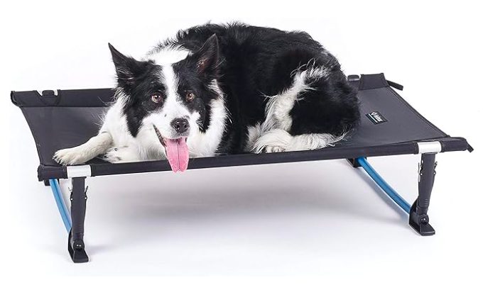 A black and white dog laying on a Helinox Dog Cot.