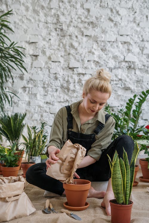 A woman cultivates potted plants indoors.