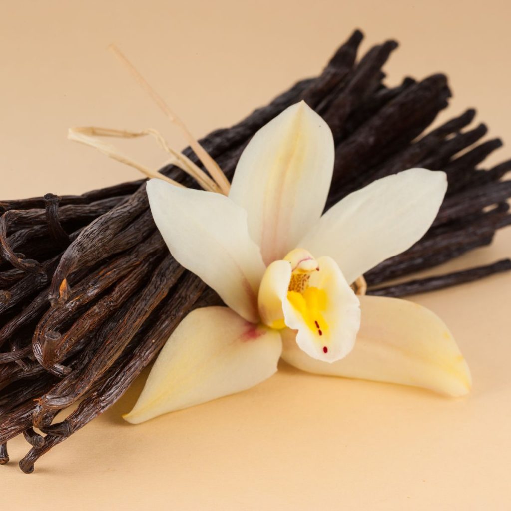 A vanilla beans and orchid set rests on a pinkish table.