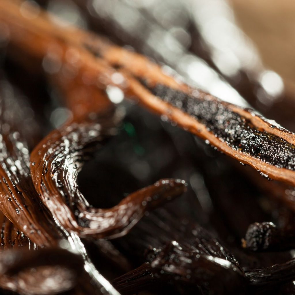 Vanilla beans glisten in a close-up shot.