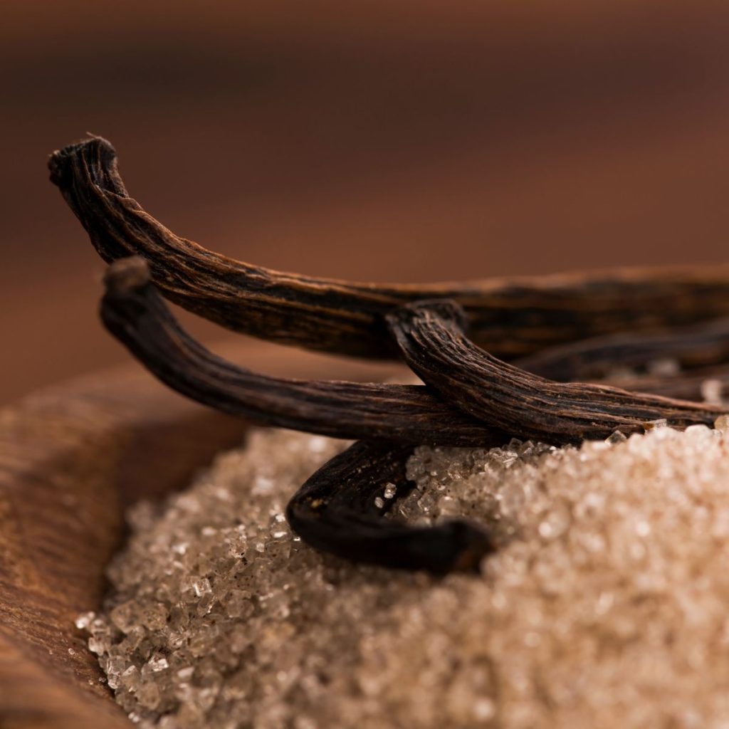 Vanilla beans rest on a bowl of sugar.