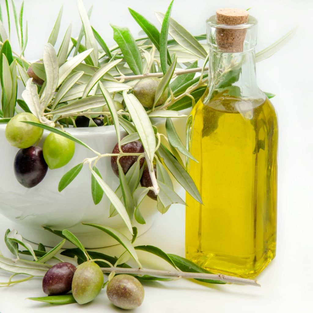 A bottle of extra virgin olive oil rests on a vase of an olive plant.