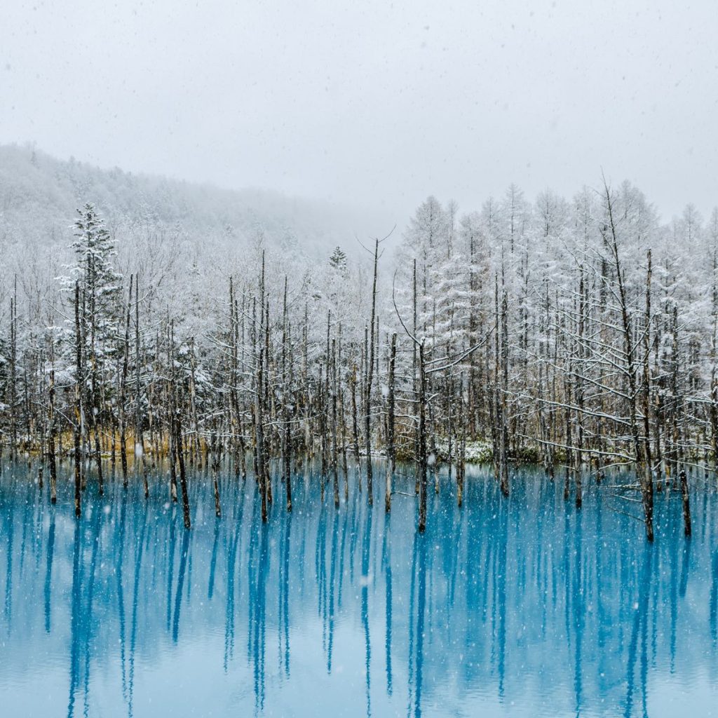 Biei Blue Pond, Hokkaido, Japan