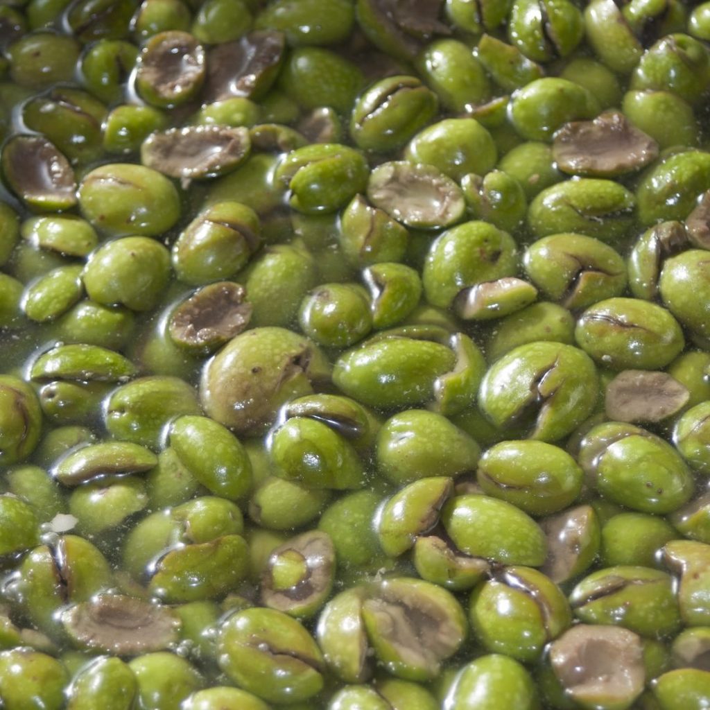 Crushed olives bathe in a liquid before being processed into extra virgin olive oil.