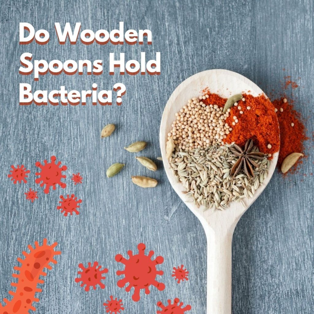 Do wooden spoons hold bacteria