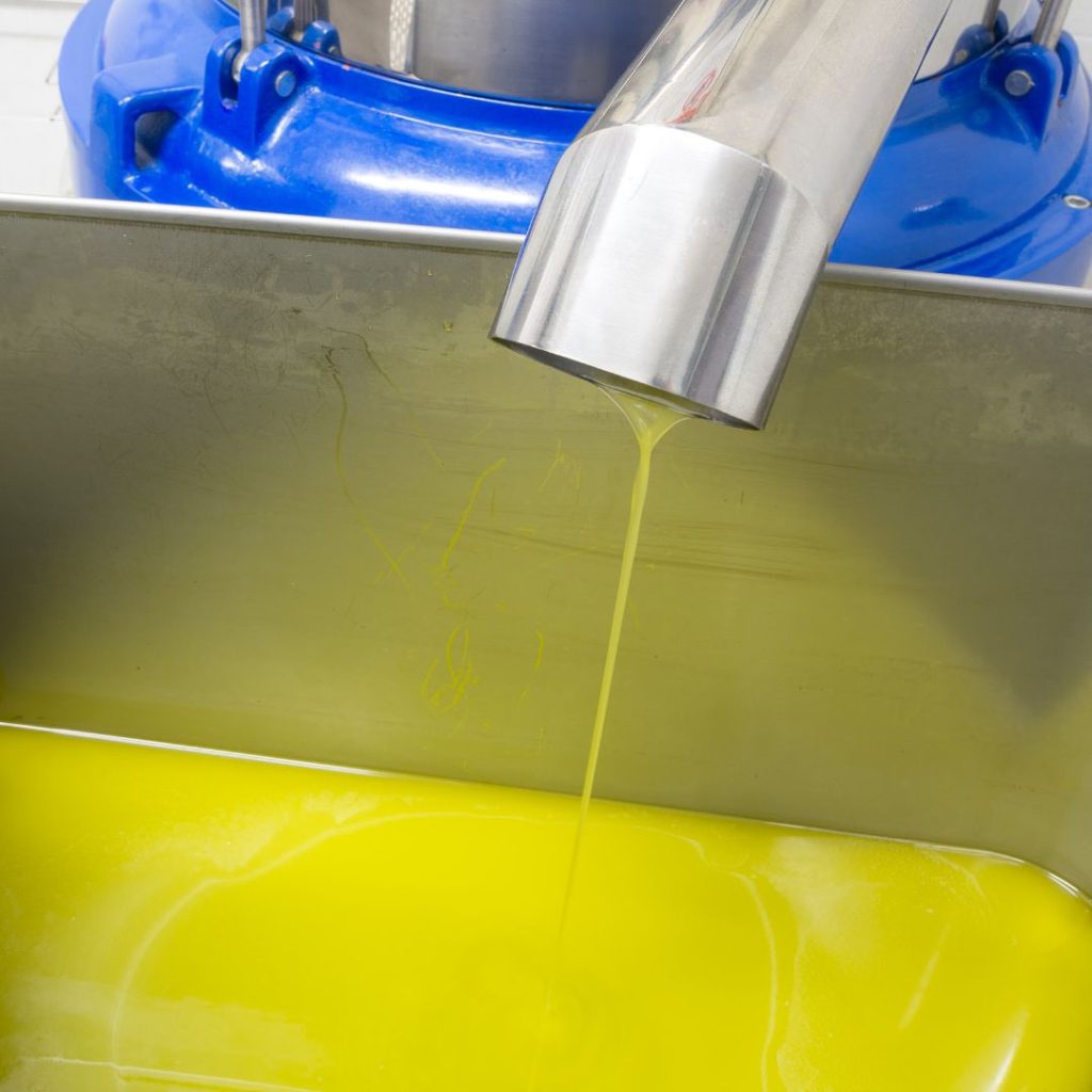 Extra virgin olive oil gets processed and poured into a large steel container.