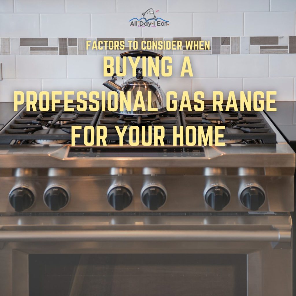 Factors to Consider When Buying the Best Professional Gas Ranges for the Home